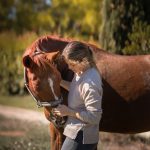 ostéopathie équine, cheval, selle français